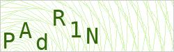 Imagen CAPTCHA